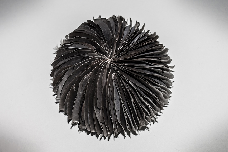 plumas-paloma-semiesfera-pigeon-feathers-semispherical-sculpture-escultura-cenital