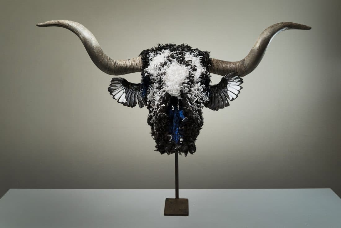 Plumas-pavo-gallina-pavo-real-alas-urraca-cráneo-vaca-escultura-sculpture-turkey-feathers-hen-peacock-magpie-wings-cow-skull