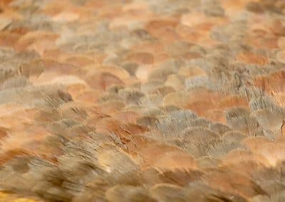 partridge-featthers-acrilic-wood-mosaic-paint-cuadro-mosaico-plumas-perdiz-madera