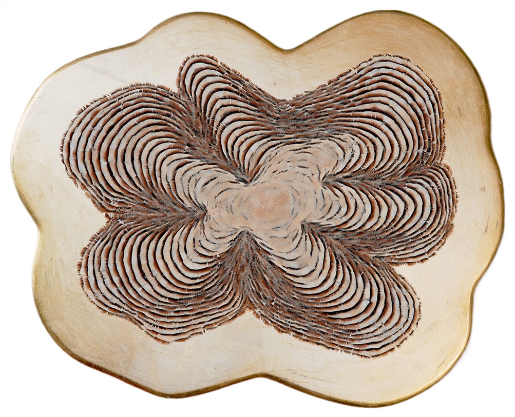 Growth Rings IV